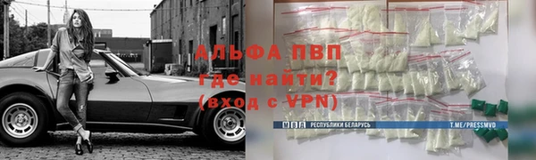 эйфоретик Богданович