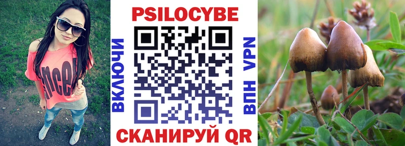 Псилоцибиновые грибы GOLDEN TEACHER  Сосногорск 